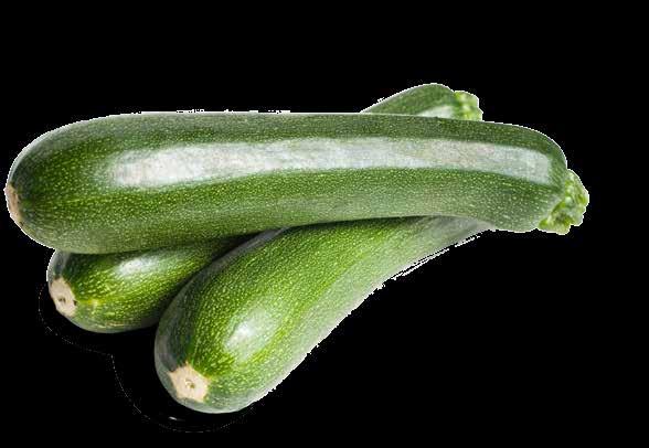 SUMMER zucchini Zucchini should have shiny, firm skin. They can be stored in a plastic bag in the refrigerator for up to five days.