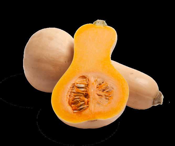 FALL squash Fall squash like butternut and acorn should feel heavy for their size and be free of bruises or cracks on their skins. Squash should be stored in a cool, dry area.