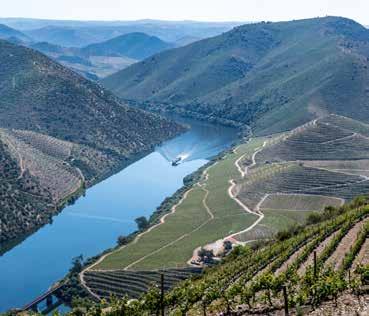 Looking up the valley across the Duorum vineyards and the infamous bridge. First taste for us of the remarkable Tanners Super Douro.
