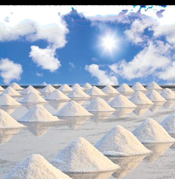 Powder Salt: Multiple uses for powder salt, also known in the industry as vacuum salt, primarily used as an alternative for table salt with very fine grain salt crystal, It is used for products