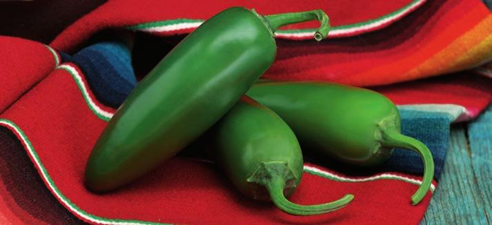 High-quality peppers for the western U.S.