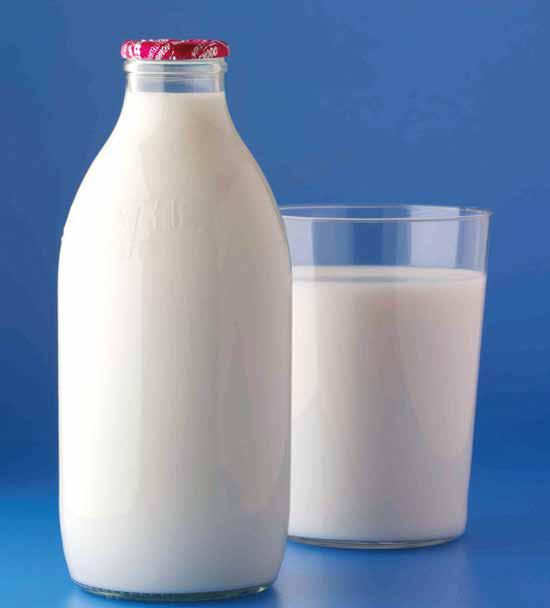 MILK Food and Agriculture