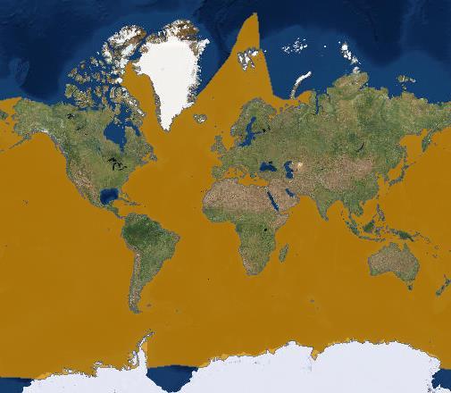 Fig. 2. Common minke whale geographic distribution. [http://maps.iucnredlist.org/map.
