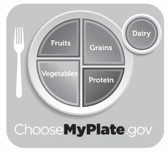 Lesson 4 Handout 7 Name MyPlate Daily Food Plan DIRECTIONS: 1. Go to this web page: http://www.choosemyplate.gov 2. Click on Get a Personalized Plan. 3.
