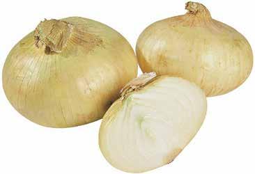 ~1 19 Vidalia Onions