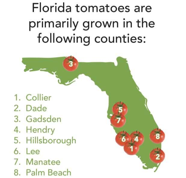 SPOT IT ON THE MAP Let s find out where tomatoes are