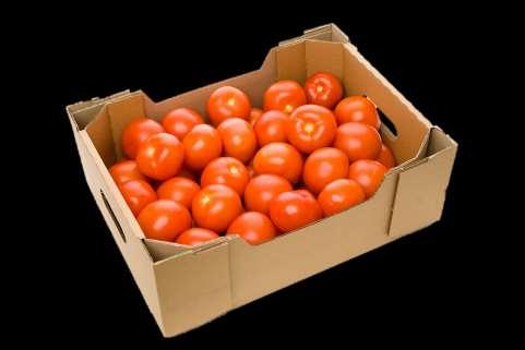 Tomatoes are packaged according to