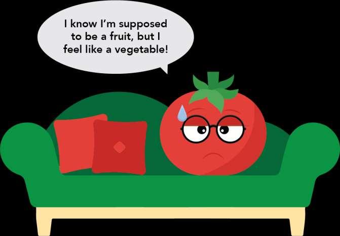 Tomatoes are botanically a fruit because tomatoes produce seeds on
