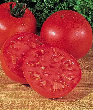 Yields heavily in all regions. Big Boy tomato 78 days One of the greatest tomatoes of all time and still a best seller.