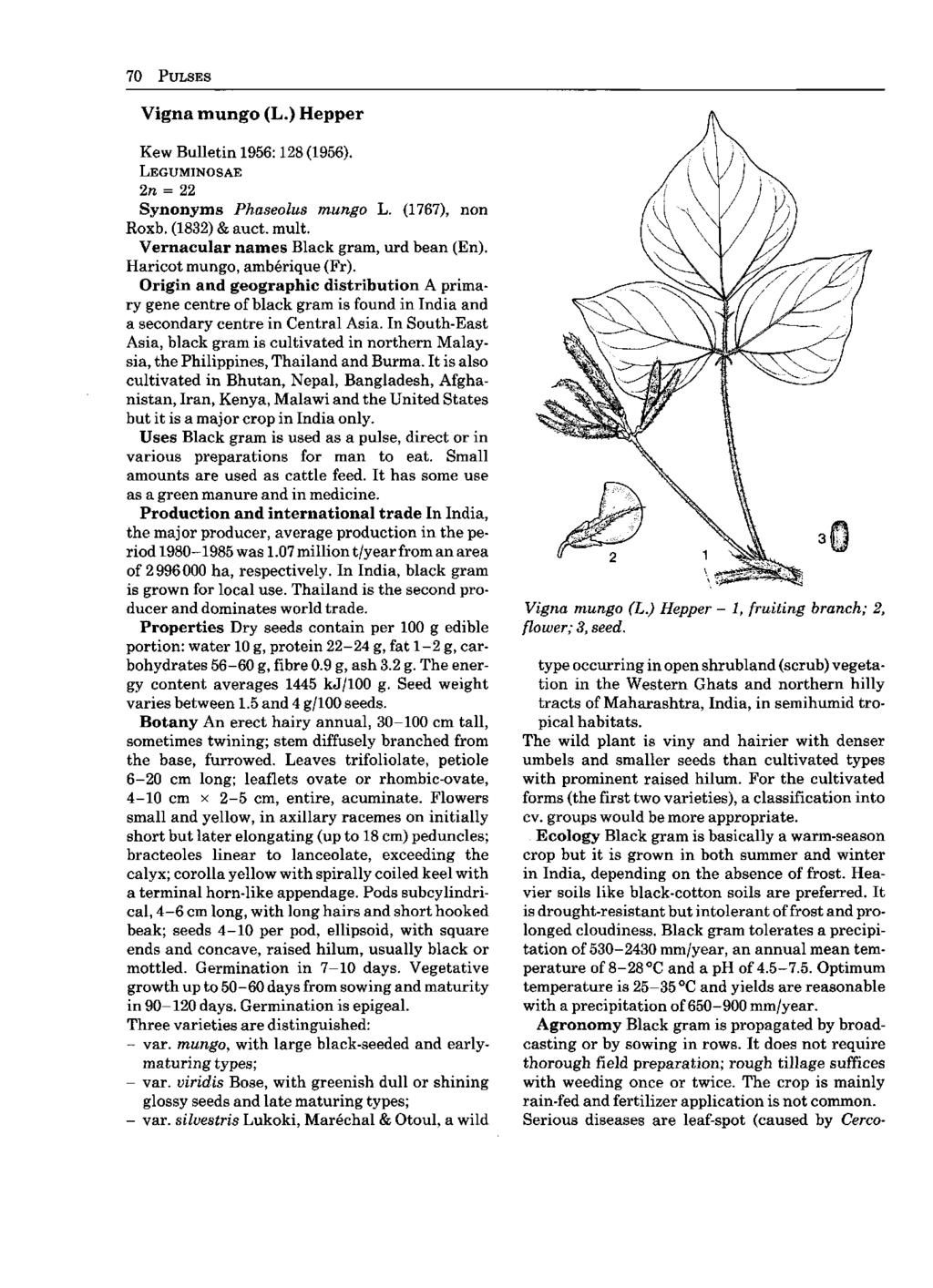 70 PULSES Vigna mungo (L.) Hepper Kew Bulletin 1956:128 (1956). LEGUMINOSAE 2«= 22 Synonyms Phaseolus mungo L. (1767), non Roxb. (1832) & auct. mult. Vernacular names Black gram, urd bean (En).