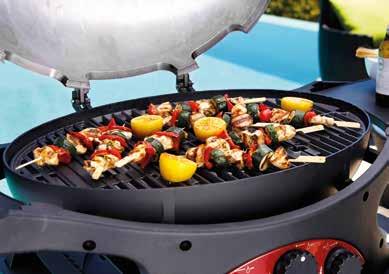 ZIEGLER & BROWN TRIPLE GRILL The complete BBQ system Available in LPG or Natural Gas versions With the Natural Gas version, you
