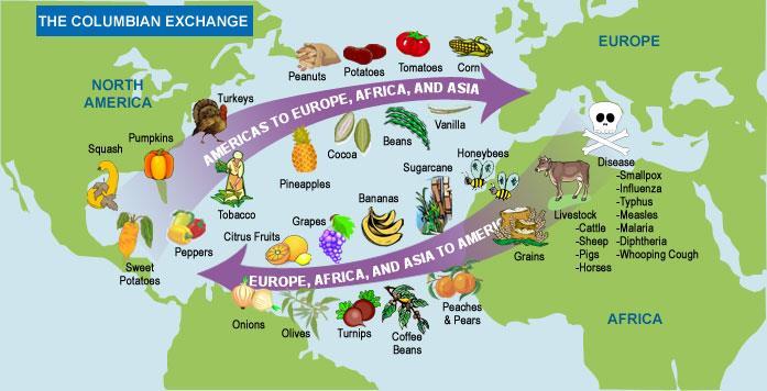 COLUMBIAN EXCHANGE Global transfer of food, plants and animals