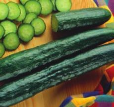 Cucumbers Sow seeds in a light, well-drained spot; but wait until the soil is warm. Cucumbers can be grown on trellis to save space and to produce straighter fruit.