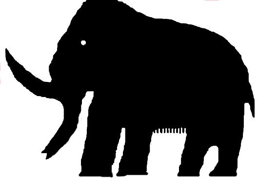 The Wooly Mammoth The Woolly Mammoth Edward I. Maxwell The closest relative of the woolly mammoth is the Asian elephant.