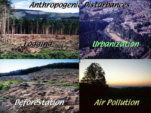 24. Disrupting Homes 05/15/2017 EQ: Ecosystems change over time.