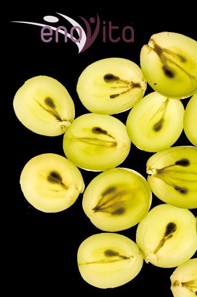 GRAPE SEEDS EXPLOITATION The main use of grape seeds is in the production of grape seeds oil :