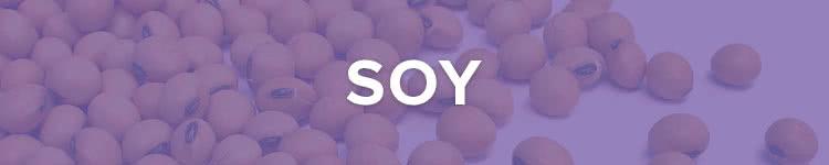 Soy can be present in the following: Asian cuisine Edamame Miso Natto Shoyu Soy (soy albumin, soy cheese, soy fiber, soy flour, soy grits, soy ice cream, soy milk, soy nuts, soy sprouts, soy yogurt)
