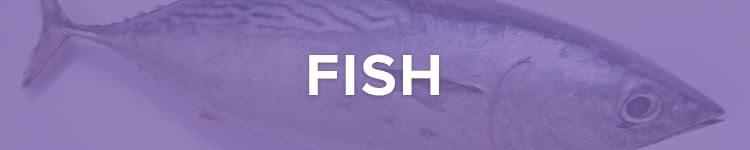 Fish can be present in the following: *There are an estimated 20,000 species of fish.
