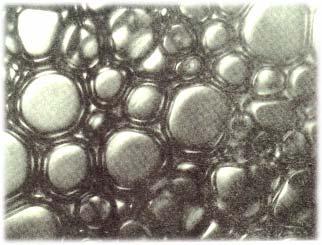C: FOAMS Gas bubbles surrounded by surfactant molecules, inside water or