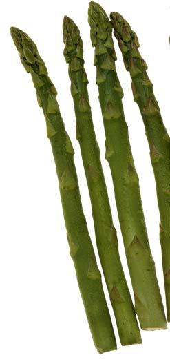Asparagus TIP