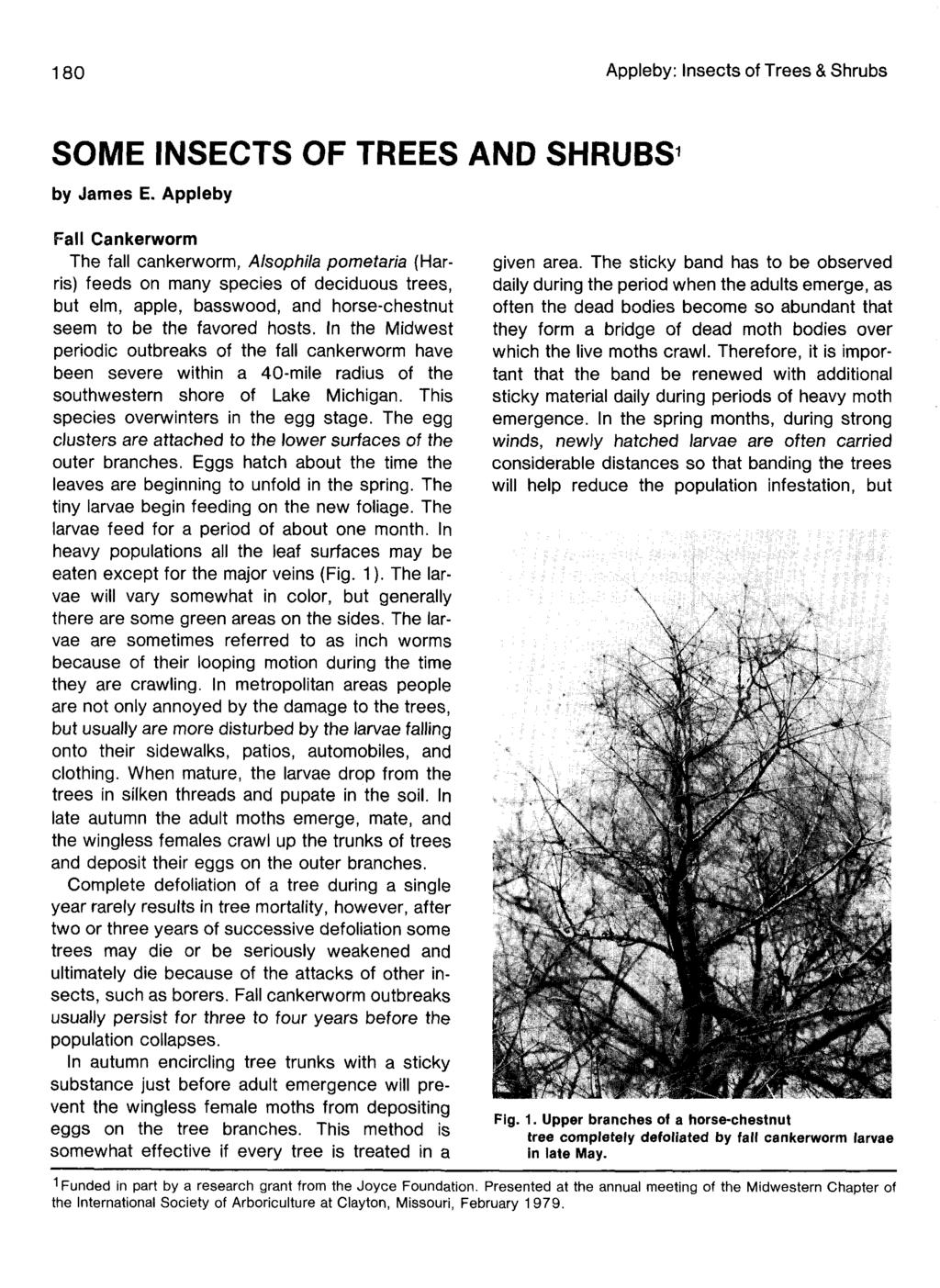 180 Appleby: Insects of Trees & Shrubs SOME INSECTS OF TREES AND SHRUBS 1 by James E.