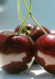 In addition, several years of shipping and delivery success have given PNW growers confidence in this cherry.