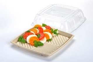 FOODSERVICE DISPOSABLES CATER TRAYS Sabert s environmentally friendly Green Collection includes a full line of molded fiber pulp compostable bases with recyclable plastic lids, offering everything