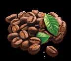 FLAVIA coffee, such as Smooth Roast, contains 58 carefully roasted and ground coffee beans.