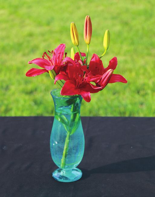 Select a small container in which to display your cut flowers. Small, clear, glass beverage bottles or small vases work well.