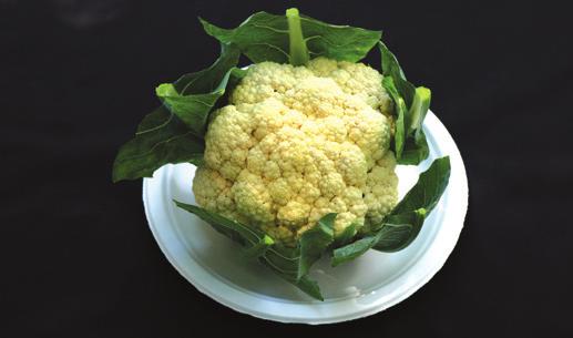 CAULIFLOWER The head includes the stem, trimmed leaves, and the white edible part called the curd. The curd should be at least 4 inches in diameter and uniformly pure white.