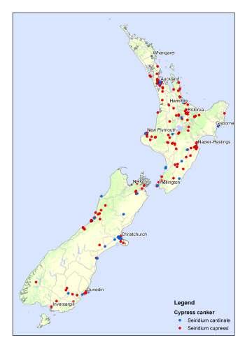 Distribution Cypress canker and its causal fungi are found throughout New Zealand (Fig. 6).