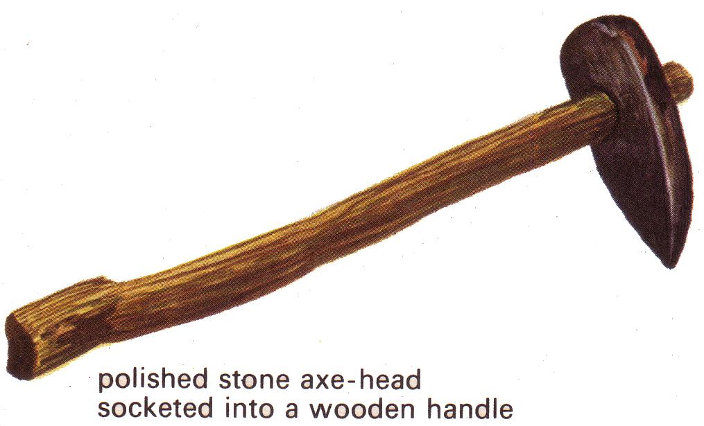 13. What effect did the axe have on the Cro-Magnon?