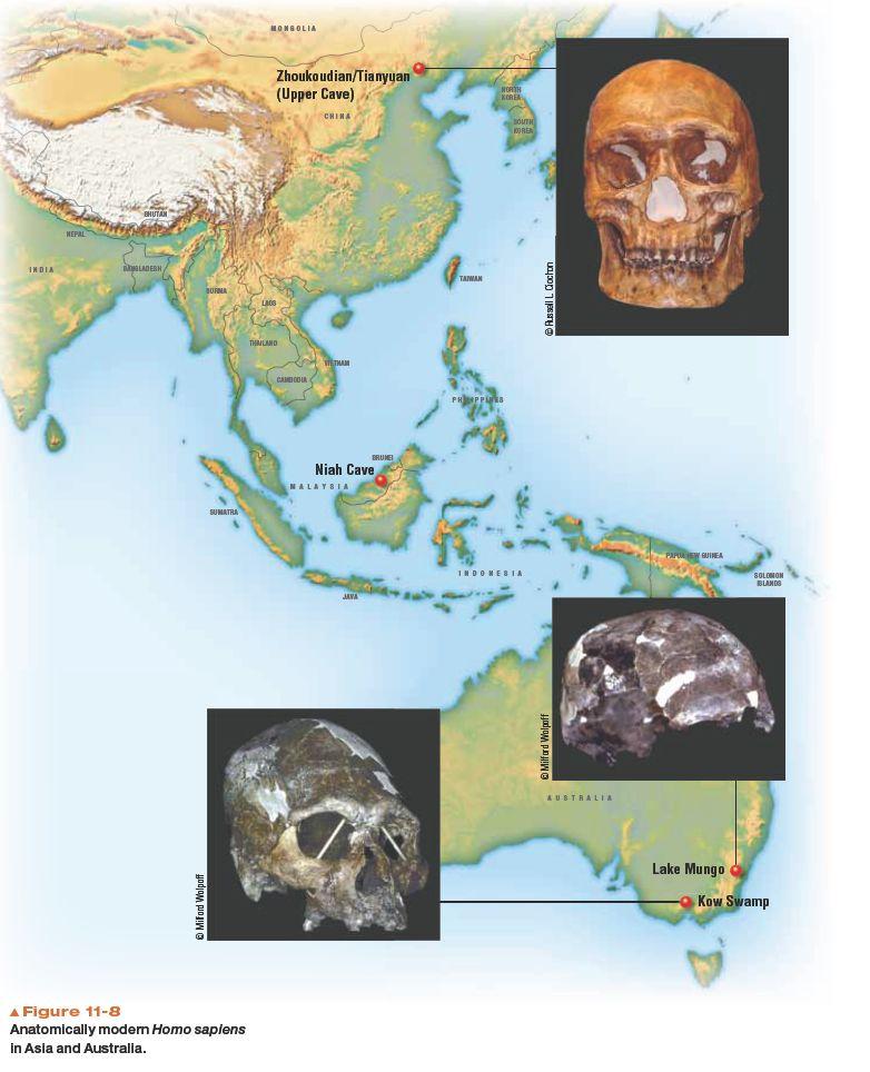 Geography of Modern Humans