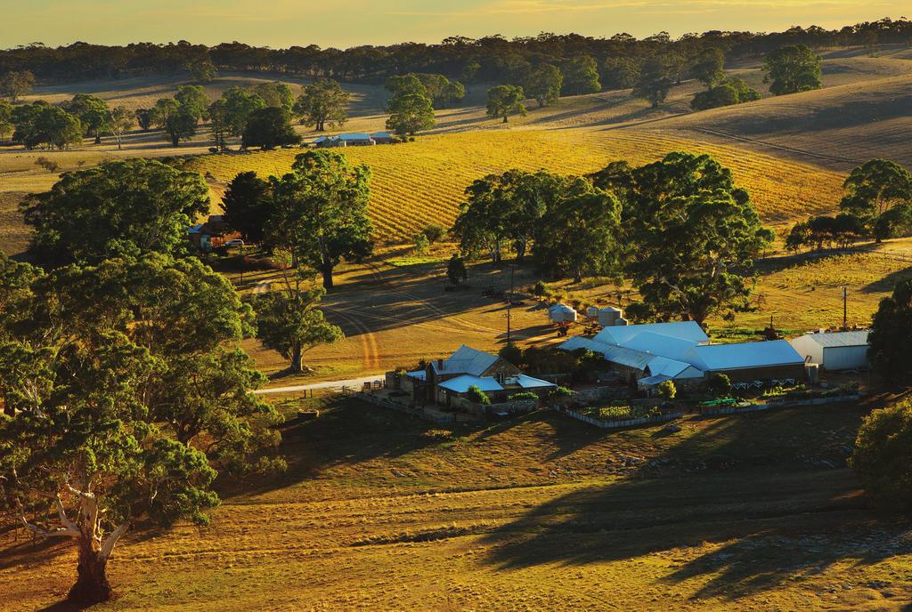 Estimate $5,500 to $6,500 Meander back to Hutton Vale Farm and join the Angas family who will share their food and wine philosophy, before settling in the historic walled gardens for a generous