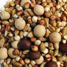 Maple Peas. Crude Protein (min)...12.0% Crude Fat (min)...2.5% Feed freely to breeders after young birds hatch.