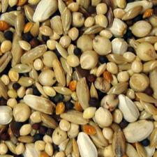 ..9.0% Bucket Of Gold This mix is high in seed content and the treat of choice amongst veteran pigeon racers. #41740 25 lb.
