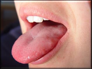 Smelling is 80% of Tasting Tongue senses: Sweet