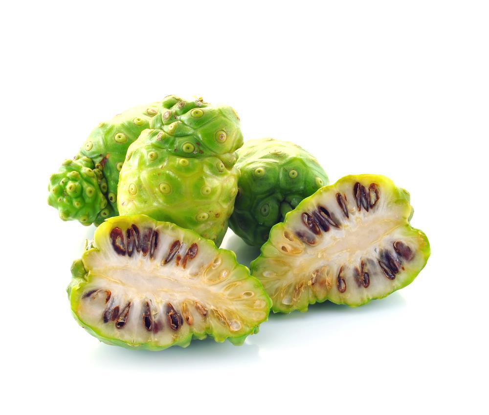 Noni Morinda citrifolia, or otherwise and more commonly known as the noni fruit, is an annual small tree that is a member of the Rubiaceae family.