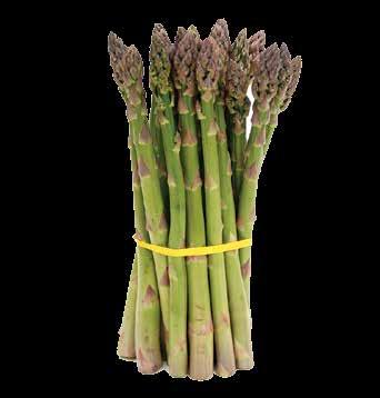 Asparagus Spears are delicious fresh or can be frozen or canned. How to Care for your Roots upon Arrival: Remove Asparagus roots from shipping box immediately and untie the bundles.