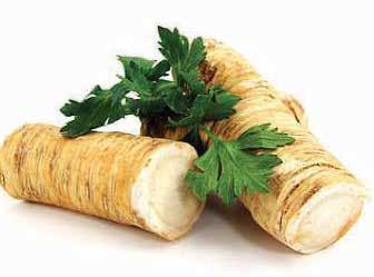 Horseradish How to care for your Crowns upon Arrival: Remove Horseradish crowns from shipping box. Do not water the crowns. Store Horseradish crowns in a cool dry area until they can be planted.