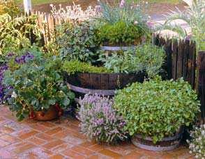 planting Container should