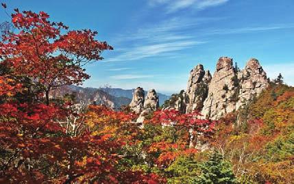 Maple Tour Discover the Beauty of the Fall Foliage Cities Covered: Incheon, Jeju,