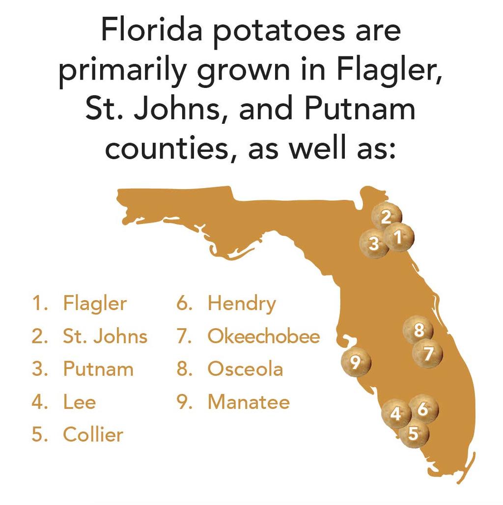 SPOT IT ON THE MAP Florida is home to several large potato growing regions.