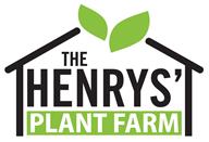 2018 Tomato Variety List The Henrys Plant Farm Indeterminate: Tomato varieties that should be staked, trellised, or caged for best results.