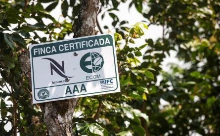 Helping farmers increase their livelihood, the AAA Program aims for high yields, while striving to reduce and even reverse environmental impacts. Deforestation is for example prohibited.