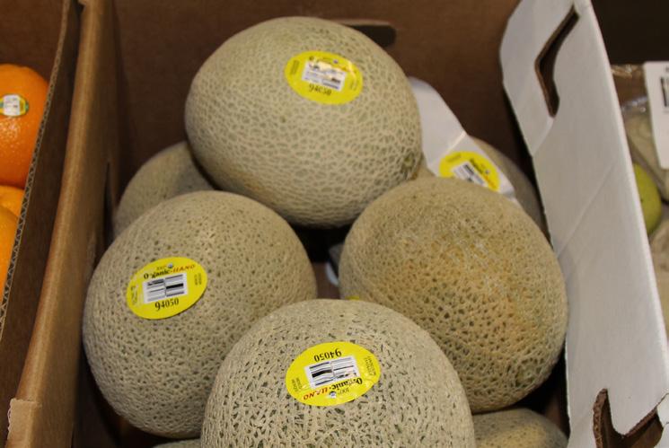 Mexican Organic Cantaloupes have virtually finished for the season and California is not quite ready.