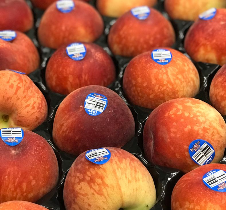 CV NECTARINES CV GRAPES CV BERRIES More shippers are getting started on Yellow Nectarines and availability is increasing.