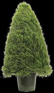 Cedar Cone Topiary