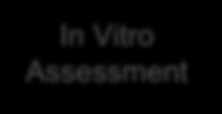 Vitro Assessment Dendritic cell T cell B cell Mast cell Animal model In Vivo Assessment