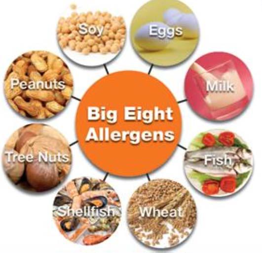 Big-8, as recommended by Codex, includes eggs, fish, milk, peanuts, shellfish, soybeans, tree nuts and wheat.